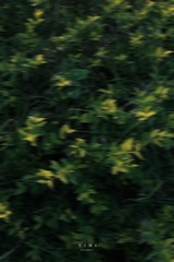 042A9BE9-762E-4EA8-887A-58EAE499DF5E/L0/001