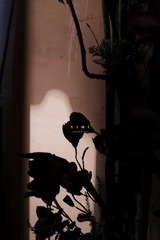 6EBC02E9-7167-49BF-99DB-F567329DCD32/L0/001