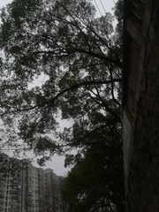 733582