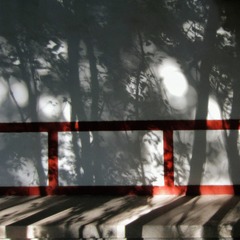 1000019925