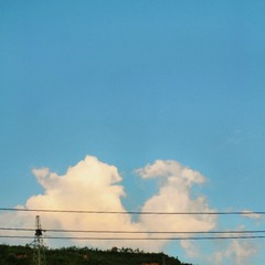 1000010698