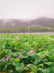 A2CE7A31-081D-45D8-AE31-15319990D752/L0/001