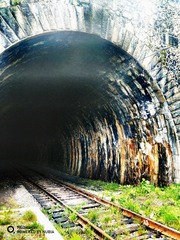 2709469