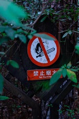 1EEC63C2-779A-46D3-B1FA-22D1A86F92AD/L0/001