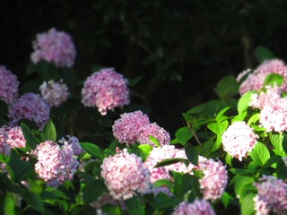 E1C7EE33-1366-4E74-907E-DC755D420C20/L0/001