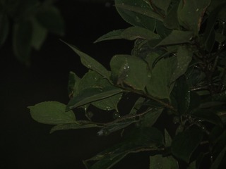 032213C7-E347-4167-BEE1-BA9B8B40589D/L0/001