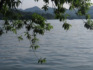 9DE060FD-1D37-4A8D-ABD9-DA50294760DC/L0/001