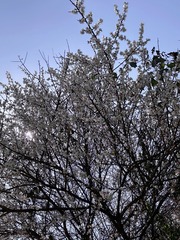 2B2FD643-DB98-4289-993C-A836AD99C3FC/L0/001