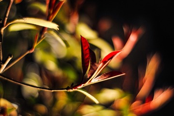 8B054700-F1AC-4012-AAE9-3EBCB1E387FD/L0/001