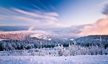 _MG_0659-1