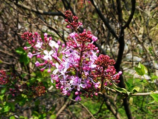 DSCF2540.jpg