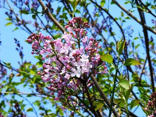 DSCF2555.jpg