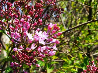 DSCF2567.jpg