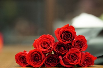 53040E54-962C-46F3-852F-480496424DD0/L0/001
