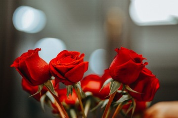8356A37F-5224-4F8F-B929-758DB7EF3914/L0/001