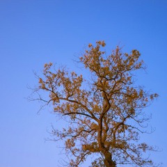 DSC_2883-2.jpg