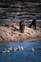 IMG_7561.jpg