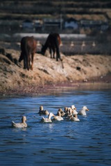 IMG_7562.jpg