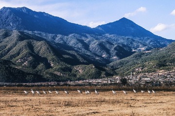 IMG_7737.jpg