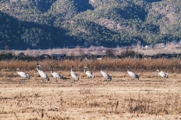 IMG_7738.jpg