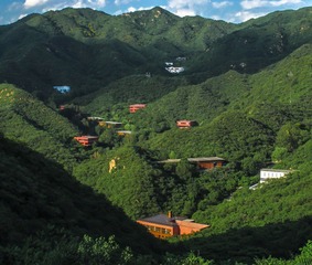 IMG_1910b.jpg