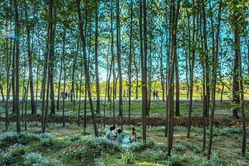 t_Y5C0448aa.jpg