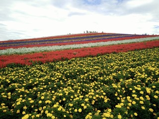 818D9822-40B1-43D2-913C-1C33B28C21F5/L0/001