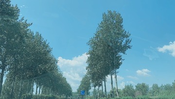1B620A24-8A3C-46C5-8B66-9694438CC8D3/L0/001