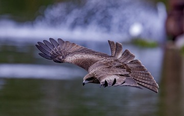 96331