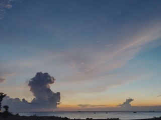 1000012362