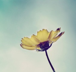 DSCF8702副本.jpg