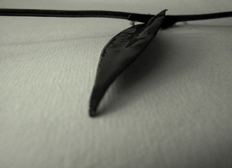 DSCF0522-1.jpg