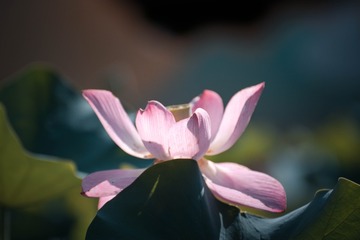 20092