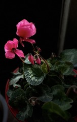 EDE4CA2C-B973-4A2D-8792-004681AD501F/L0/001