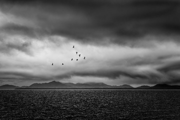 F2137090-5668-4705-B91A-9601C87D4C66/L0/001