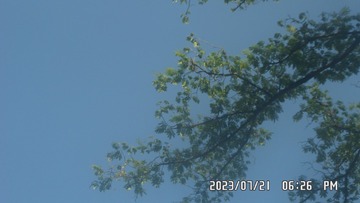 520F772B-AF30-4505-89A4-0C09F7AB550D/L0/001