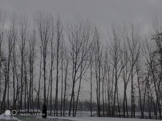 1520114