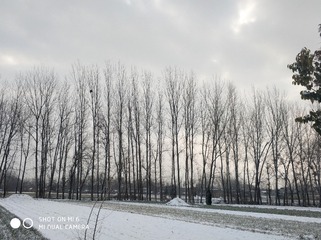 1520112