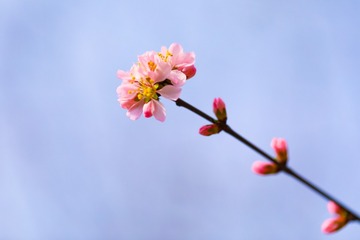 AB72A567-8C7D-431C-9A3B-F85F7EA2EC73/L0/001