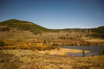 IMG_2733.jpg