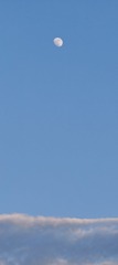 1000005560