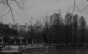 BC1971D0-B172-48DD-9E3E-D7051B4F041D/L0/001