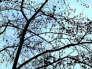 0C46E2AD-7AE1-4288-A35D-66234406B938/L0/001