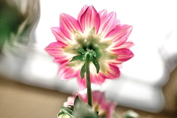 56DBEB51-80A5-4939-B5CE-EFA56F4828C5/L0/001