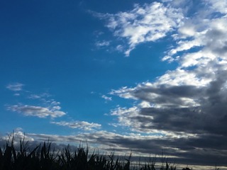 92DE646D-D7CE-40E0-89A0-6E28D72EBF20/L0/001