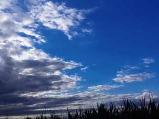 297249C5-CEF1-4CE0-B56D-201E9DC98A8F/L0/001