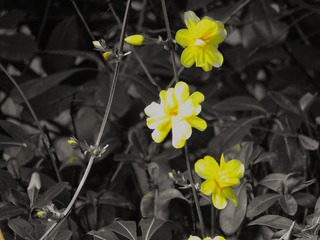 190973