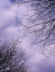 0334DB10-BA7B-43A2-9938-94C165B35A96/L0/001