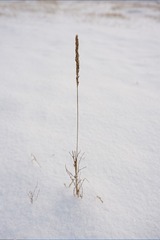 310658