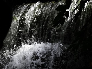 1306572